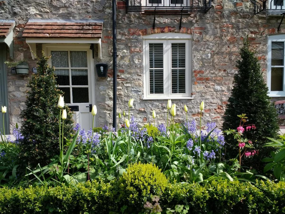 St Etheldreda'S Cottage, Wells, Somerset Kültér fotó